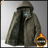 Армейский Зеленый