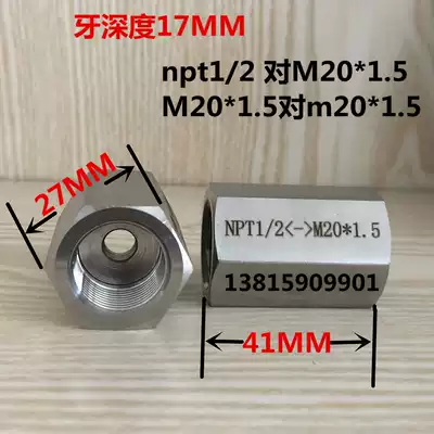 Pressure gauge 304 stainless steel double head inner wire double male screw connector side M20 * 1 5 -NPT1 2 4 points DN15
