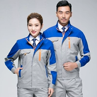 Светло -серый набор орхидей