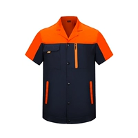 Deluxe версия короткошерстного тибетского синего боевого апельсинового топа