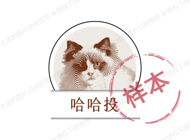 哈哈投鞋店