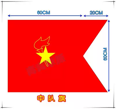 Young Pioneers squadron flag Brigade team emblem school class flag collective activities