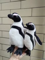 Пара размера 5 от 20 до 30 см.