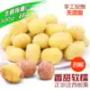 Chestnut Pie Shelled and peeled Raw chestnut kernels Freshly peeled chestnut kernels Fresh raw chestnuts Raw Qianxi chestnut kernels