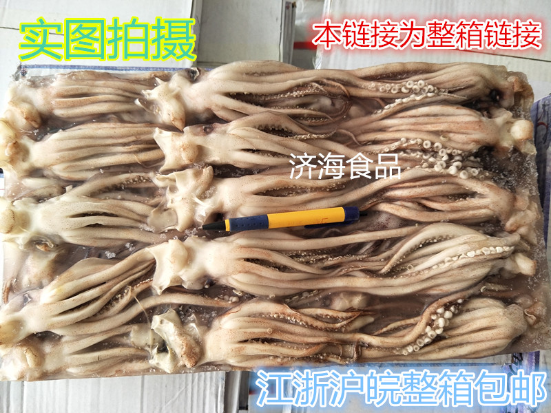 Frozen fresh semi-finished wild squid to be frozen squid fresh squid with squid claw squid needs head iron plate 