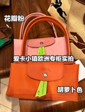 [Покупка Германии] Longchamp Longyu Bags защита окружающей среды в середине длинных и плечевых пельменных мешков