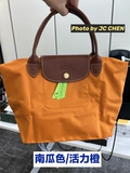 [Германская покупка] Longchamp Exquisite Bag Нейлоновая сумочка Классическая маленькая короткая ручка