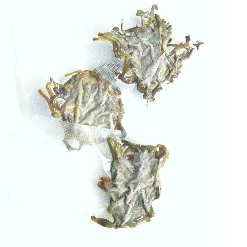 Fresh Iced Tea - Specialty Tea, Phoenix Dancong Tea Iced Tea with Explosive Aroma - a Tea That Redefines Your Perception