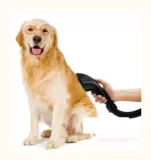 Кошка и собака Удаляя волосы пылесос чистящие средства для головы голова питомца баловать шерсть -шерстяная пушистая очистительная собака расчесывает пушистый артефакт, чтобы адаптироваться к различным моделям