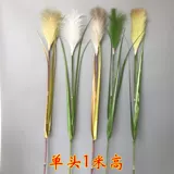 Симуляция тростника собака