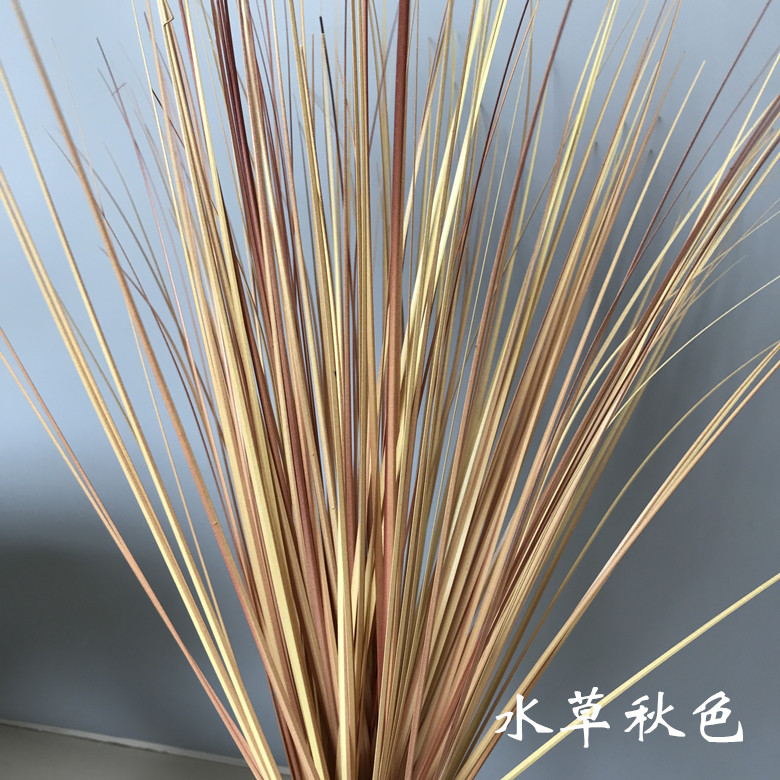 Mô phỏng Sậy Dog Tail Cỏ Hoa Sắp xếp Hoa chống thực Hoa Trang trí phòng khách Trang trí nội thất Trang trí hoa khô Đạo cụ chụp - Hoa nhân tạo / Cây / Trái cây hoa lan giả