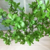 Северная симуляция зеленое растение Моделирование цветы японские висящие часы отдельные ветви пьяные деревянные листовые фальшивые ветви гостиная растения декоративные украшения