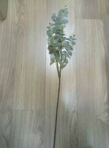 Моделирование нового продукта эвкалипт одиночный лист зеленый медная монета