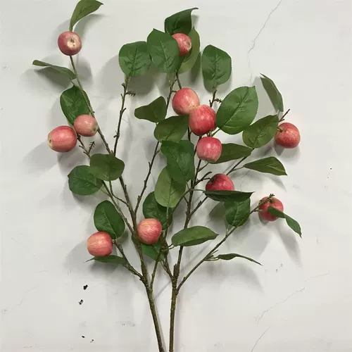 Моделирование ветвей Kumquat с ветвями и листьями, чтобы украсить листья лимона, листья и листья, оранжевые ветви оранжевых ветвей