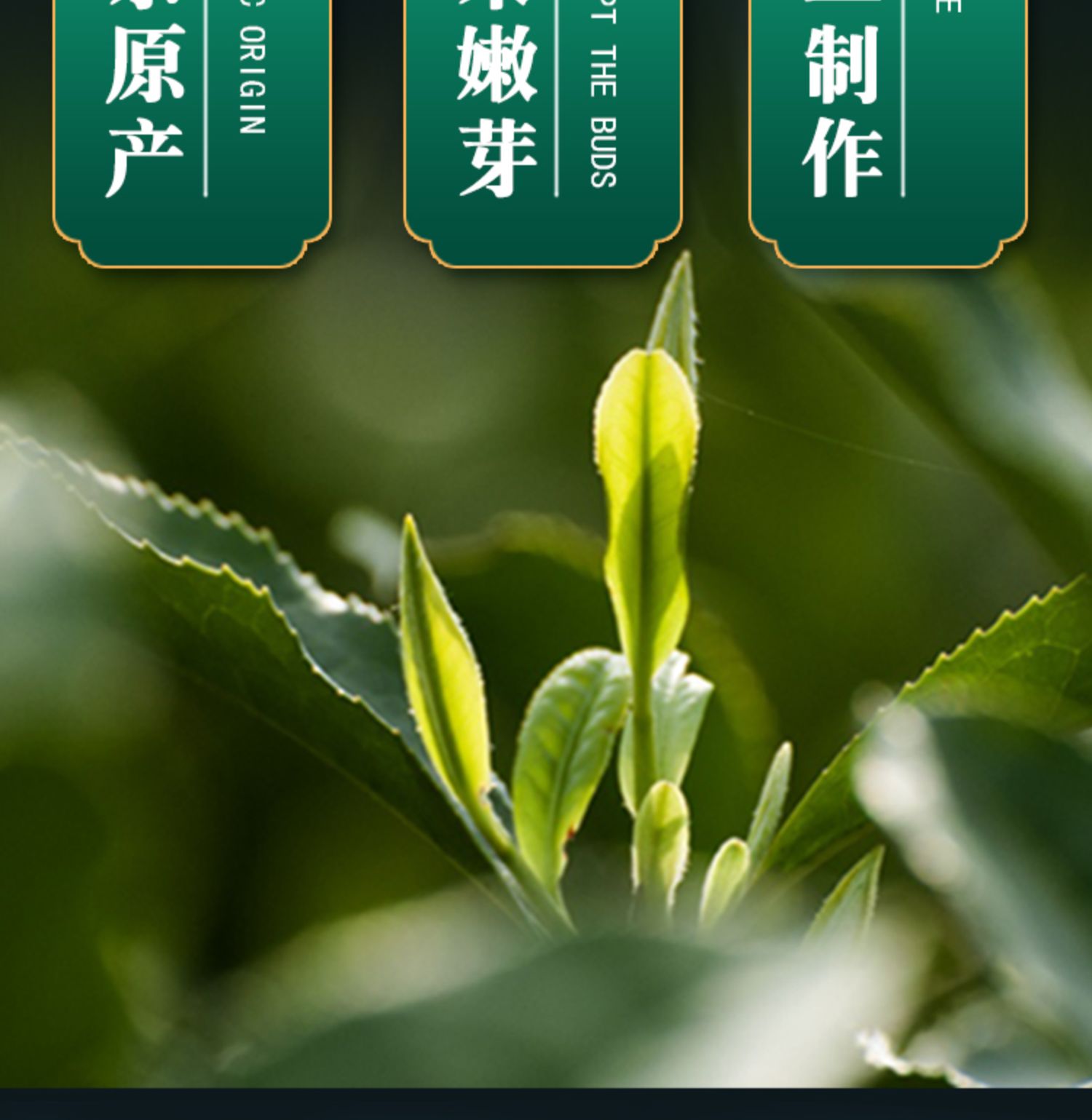 2022新茶特级黄山毛峰嫩芽绿茶礼盒装500g