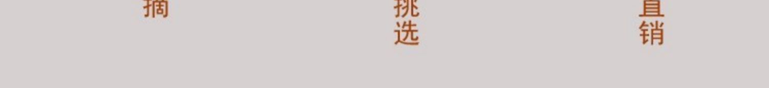 送茶具特级碧螺春茶浓香礼盒装500g送礼必备