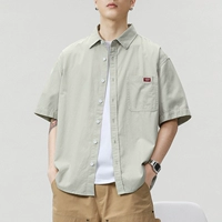 Z933 светло -зеленый