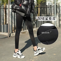 Черная бархатная модель [подходящая-5 ~ 15 ℃ изношенная] была выбрана