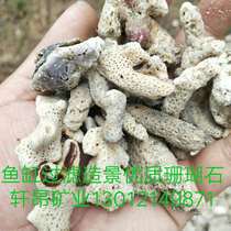 Natural quality coral stone fish tank water family filtration building decoration water quality purification stable PH value