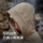 Женская новая ветрозащитная спортивная куртка Percy and outdoor soft shell clothing, приталенная куртка с высокой талией, повседневная ветровка mini 2