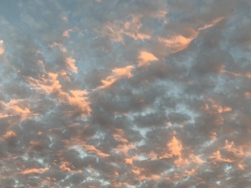 Click Here! Click Here!