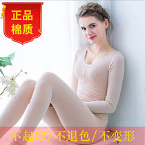  Cotton autumn clothes autumn pants suit Womens autumn and winter body warm underwear womens tight low-neck bottoming cotton sweater