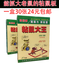 Mouse stickler with super powerful sticky rat board to drive rat and mouse trap medicine to catch the big old rat cage gum to catch the rat-maker home