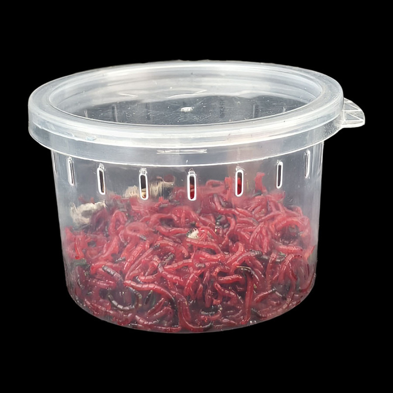 Reptile Breeding Box Reptile Pet Box Silkworm Baby Spider Horned Frog Bug Lizard Snail Pet Snake Insect Breeding Round Box