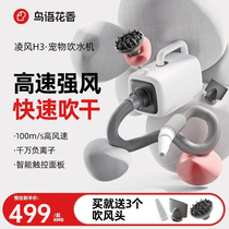 Birds and flowers scent pet water dryer dog hair dryer cat bath special drying and hair blowing artifact high power