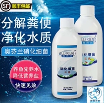 Austrian Finland active liquid nitrifying bacteria water quality stable water purification agent seawater freshwater Dragon Fish Koi nitrifying bacteria