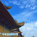 薇薇安VivianJi代购小店