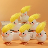 6 попугаев птиц