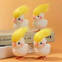 4 попугая птицы