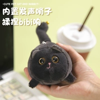 Британская короткая черная кошка- [хвост встряхнуть]