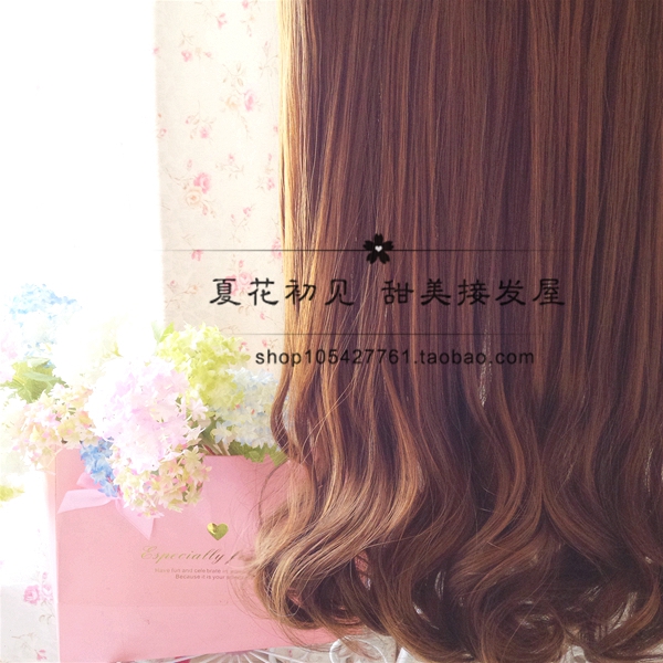 Extension cheveux - Ref 218350 Image 22