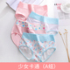 Nam Cực womens phụ nữ đồ lót 100cotton eo cao chất béo mm bụng lớn bông giữa eo quần cô gái tam giác.