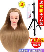 Emulation Hair Paparazzi Head Wig Head Mold Meme Model Head Fake Human Head Model Practice Disc Hair Bricked Hair Makeup Styling