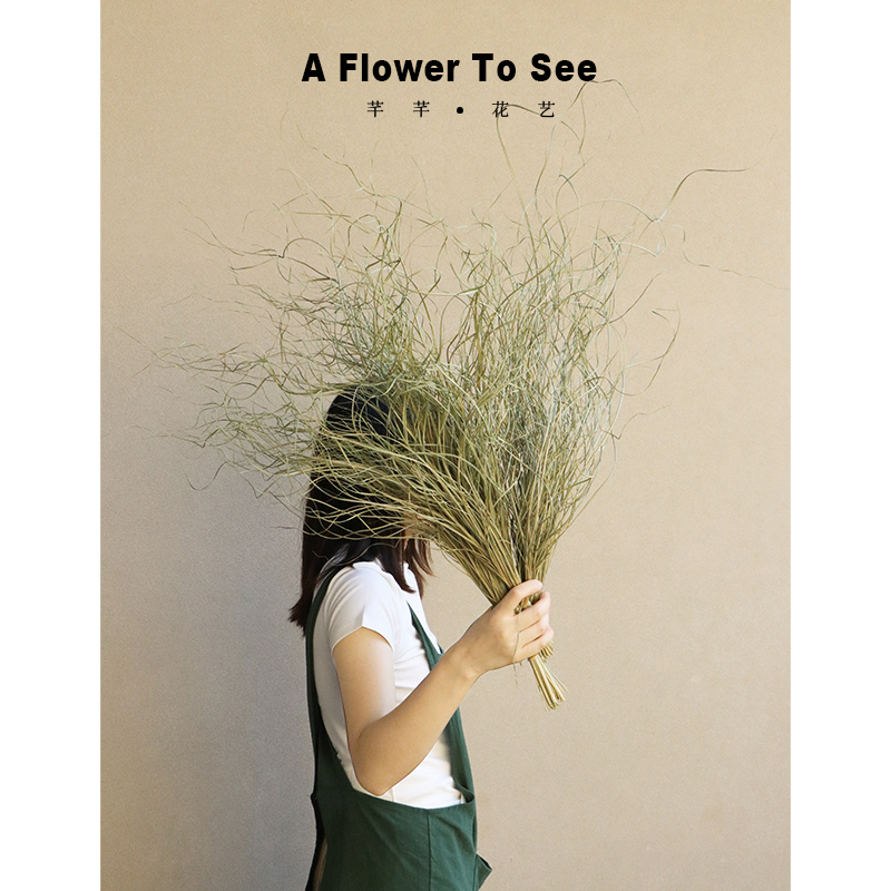 Natural Green Fine-Leafed Grass Dried Flower Bouquet with Grass Hanging Down, Living Room Soft Decoration Design with Bulrush Grass Natural Green Fine-Leafed Grass Dried Flower Bouquet with Grass Hanging Down, Living Room Soft Decoration Design with Bulrush Grass