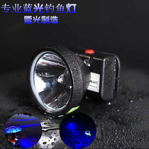 Ray light dragon 20W 25W blue light headlight 35W large aperture night fishing light Lithium fishing light