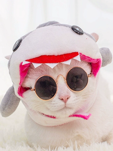 Pet Rabbit Year Cat Cat милый трансформирующий собака капюшона маленькая собака, кошачья собака кроличьи уши головные уши