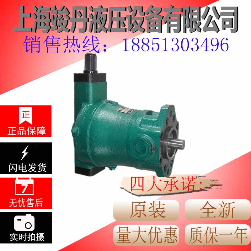 10YCY 10YCY 25YCY 40YCY 63YCY 100YCY 100YCY 160YCY14-1D 160YCY14-1D Shanghai plunger pump