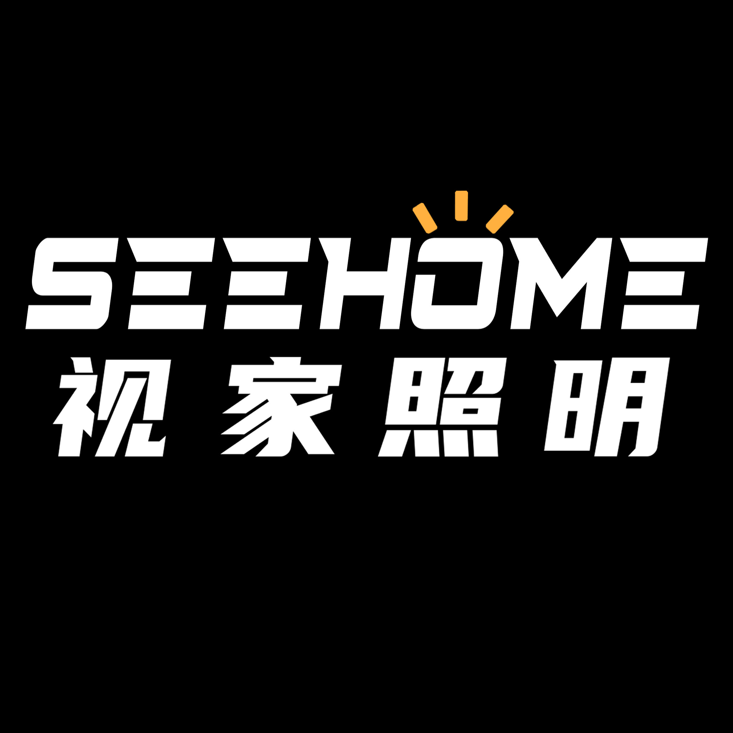 SEEHOME视家照明