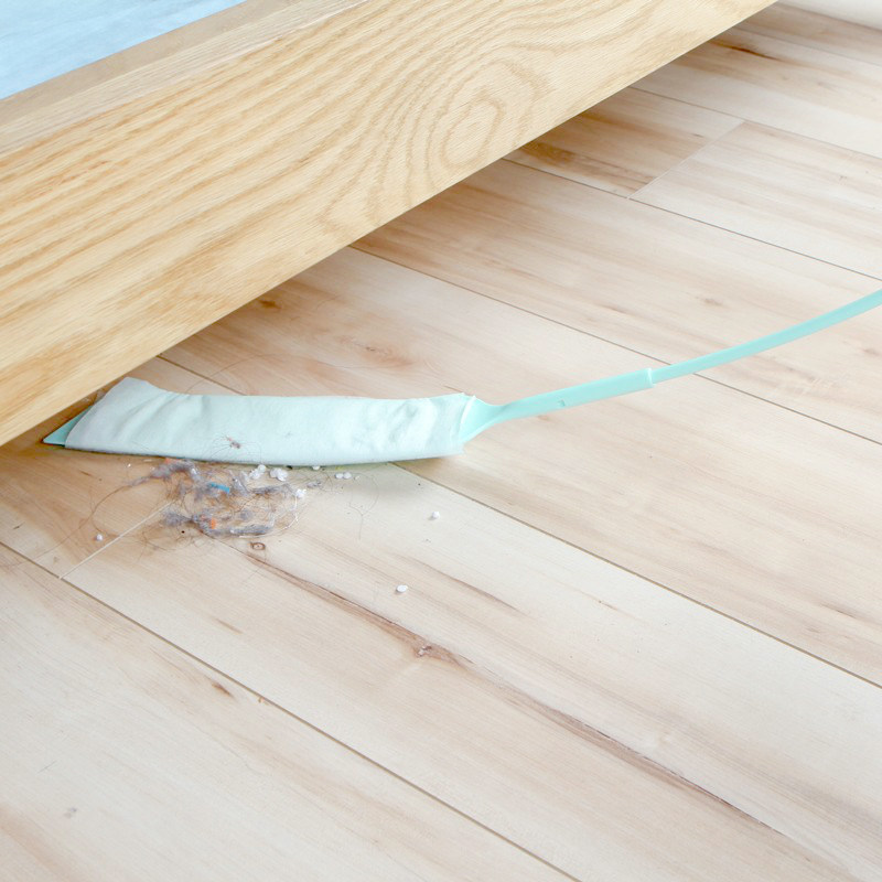 Dust dust dust dust dust dust dust dust dust dust dust dust dust dust dust dust dust and narrow brush brush