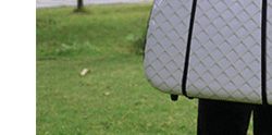 Sac de golf - Ref 37941 Image 64