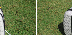 Sac de golf - Ref 37941 Image 40