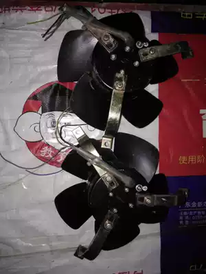 Royal TYPE TR200P59H-6 All Gold 230 Genus TR200P59-3TP-A41 Wind T230P5 175