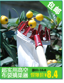 Chọn dụng cụ làm vườn arbutus, hái trái cây cao độ, làm vườn, làm vườn, hái, hái thủ công, hái trái cây, trái cây tua vít lục giác