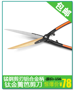 Chọn dụng cụ làm vườn arbutus, hái trái cây cao độ, làm vườn, làm vườn, hái, hái thủ công, hái trái cây, trái cây