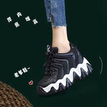 ins tide daddy shoes womens pine cake bottom 2020 Spring New thick soled inner 9cm feet small casual sneakers