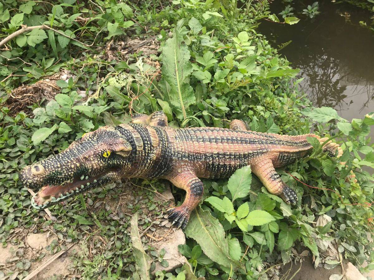 товар из китая 超大号鳄鱼玩具软胶软皮尼罗鳄仿真动物模型认知玩具男礼物7岁8岁 Hikohiro